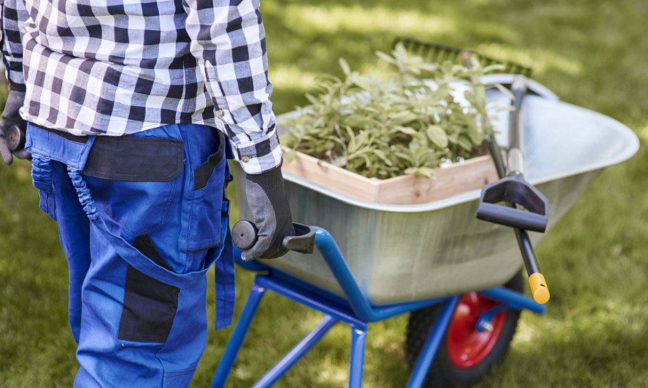 Lawn Care Business for Sale Rolleston 1