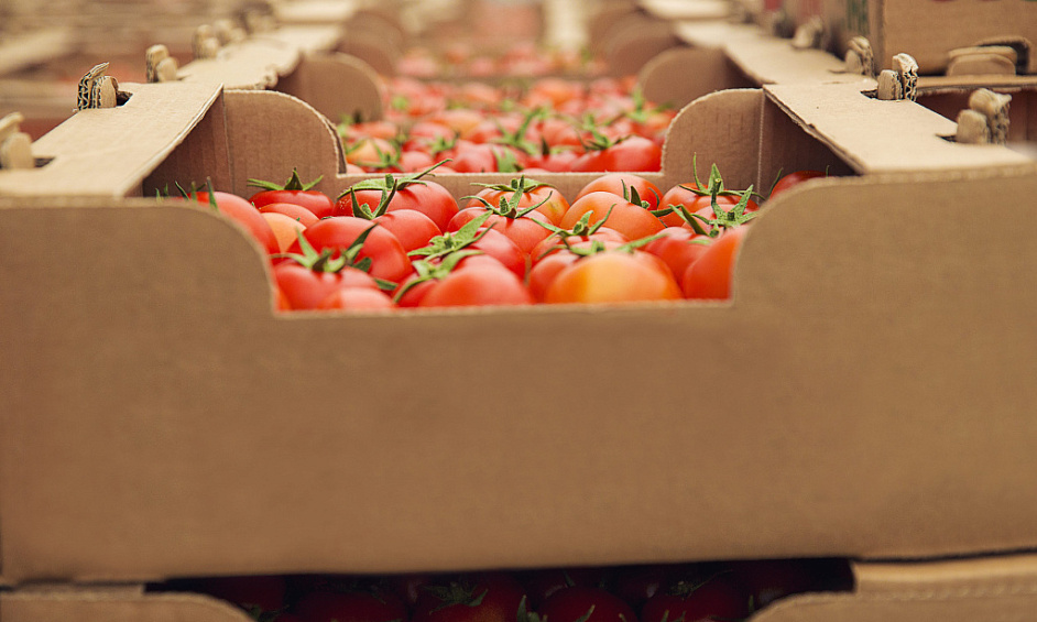 Distribution alimentaire en gros - 30 ans - Ebiptda $382,000 À vendre 1 Distribution alimentaire en gros - 30 ans - Ebiptda $382,000 À vendre 1