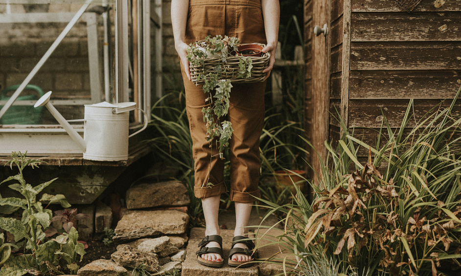 Village De Style De Vie Droits De Gestion Entreprise À Vendre Tauranga 1