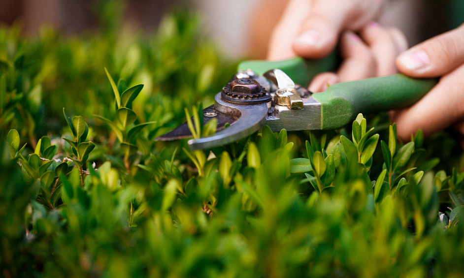 Franchise De Services De Pelouse Et De Jardin À Vendre À Gisborne 1