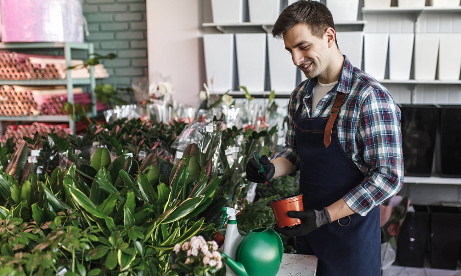 Services De Pelouse Et De Jardin Franchise à Vendre Hawkes Bay 1