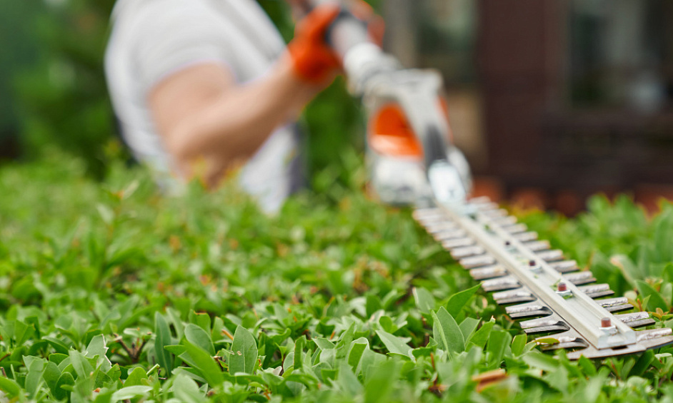 Franchise De Services De Pelouse Et De Jardin À Vendre À Christchurch 1
