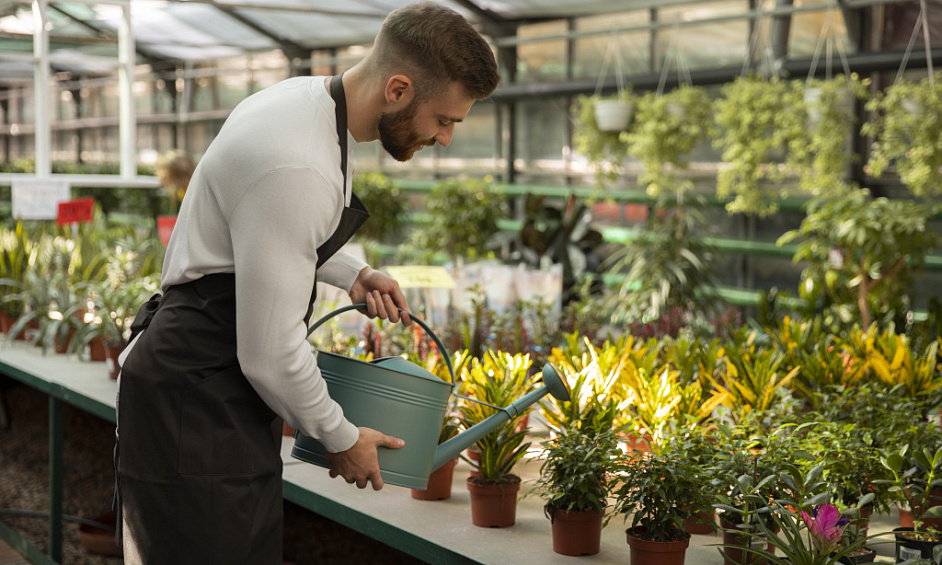 Entreprise de Sous-traitance Horticole À Vendre Bay of Plenty 1