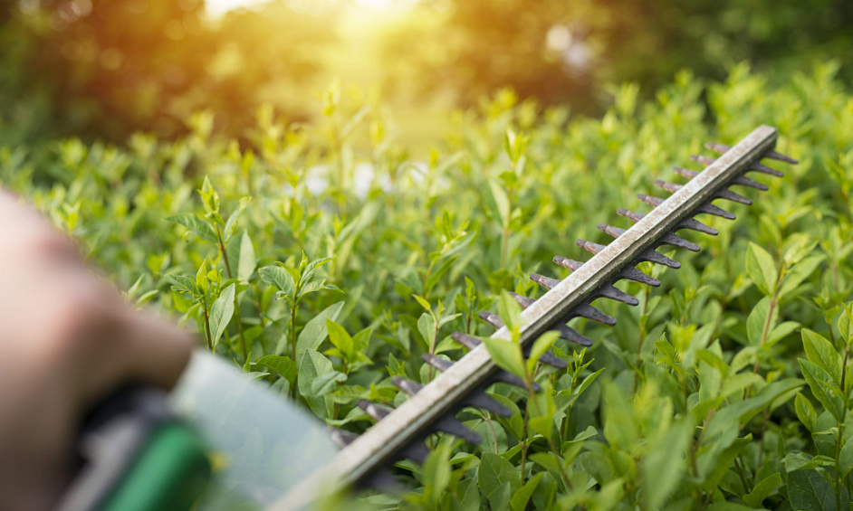 Franchise De Services De Pelouse Et De Jardin À Vendre Christchurch 1
