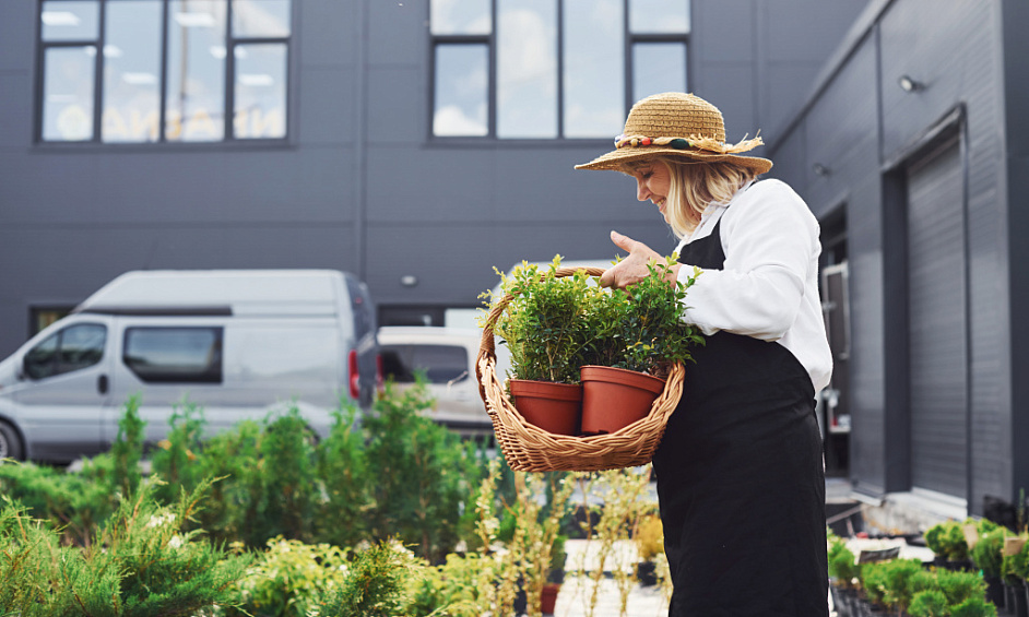 Licence De Maître Franchisé Opportunité D'Affaires À Vendre Tauranga 1