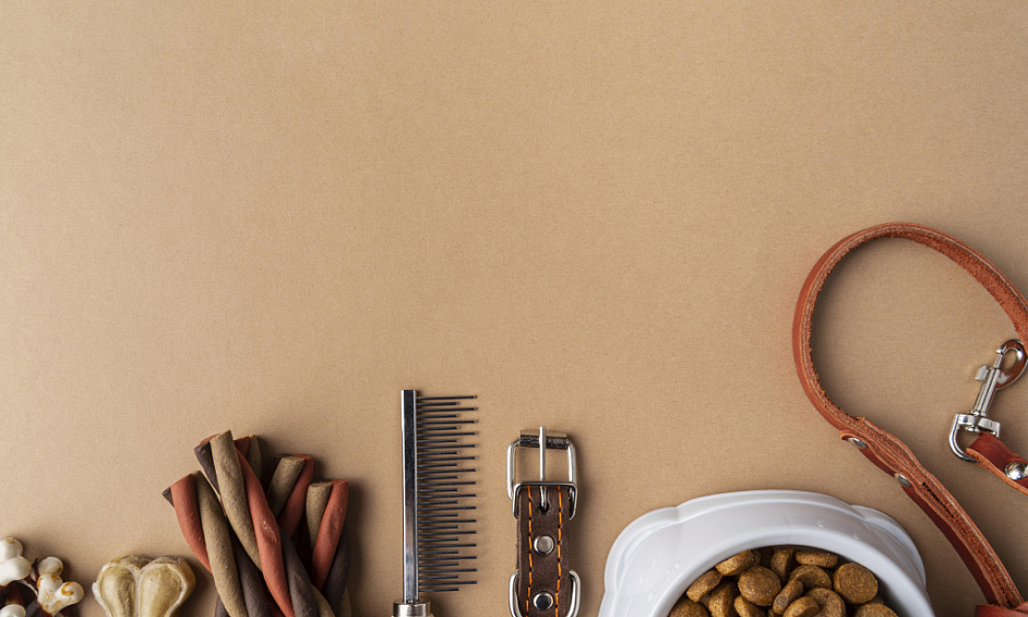 Luxury Pet Products Business for Sale Cambridge 1