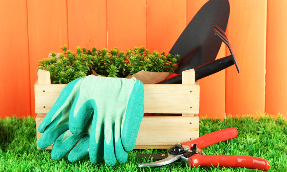 Pelouse et Jardin Franchise à Vendre Christchurch 1