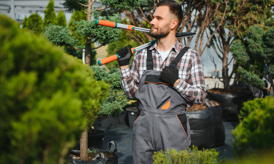 Services De Pelouse Et De Jardin Franchise À Vendre Katikati 1