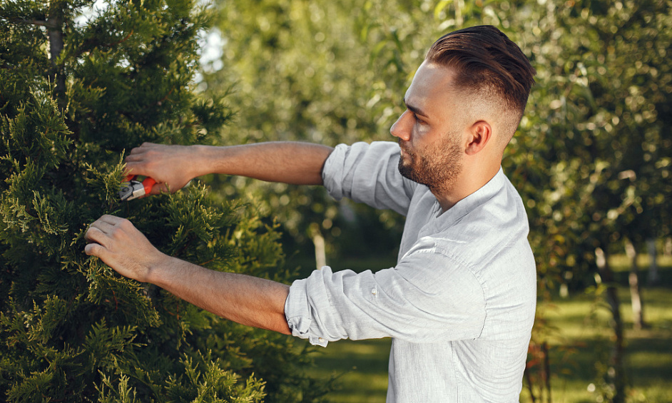 Entreprise D'Arboriculture À Vendre Région D'Auckland 1