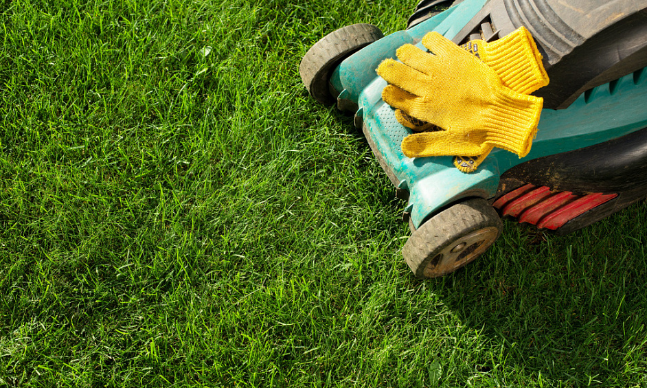 Franchise De Services De Jardinage À Vendre Dannemora, North Park, Beachlands 1
