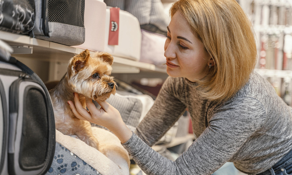 Industrie Des Animaux De Compagnie Fabrication & Distribution Entreprise À Vendre Tauranga 1
