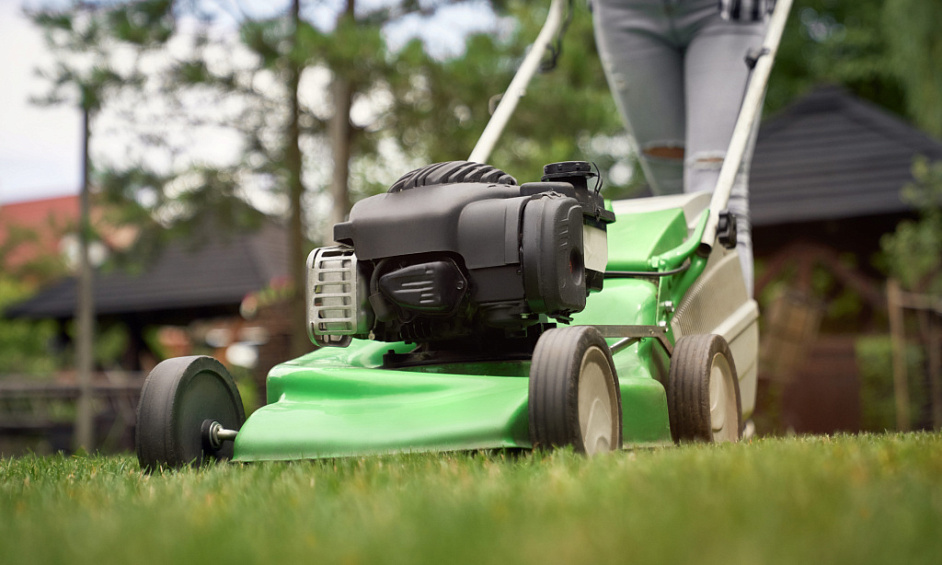 Franchise De Services De Pelouse Et De Jardin À Vendre Island Bay Et Miramar 1