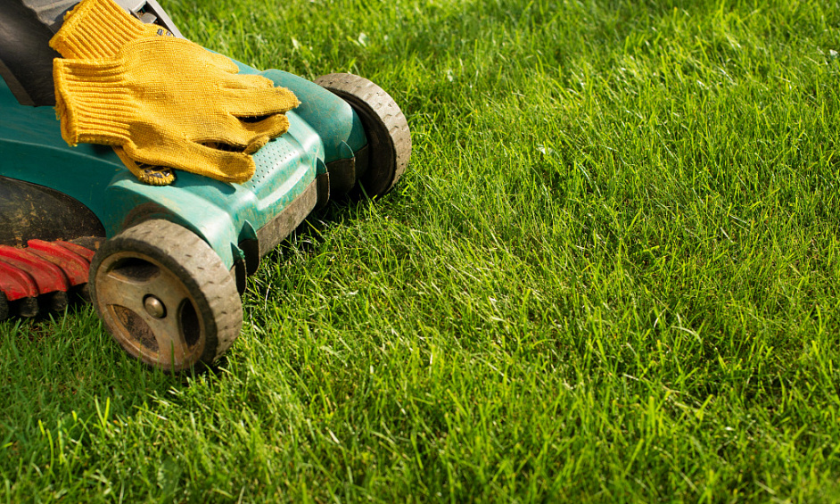 Franchise de services de jardinage à vendre Karaka, Drury 1